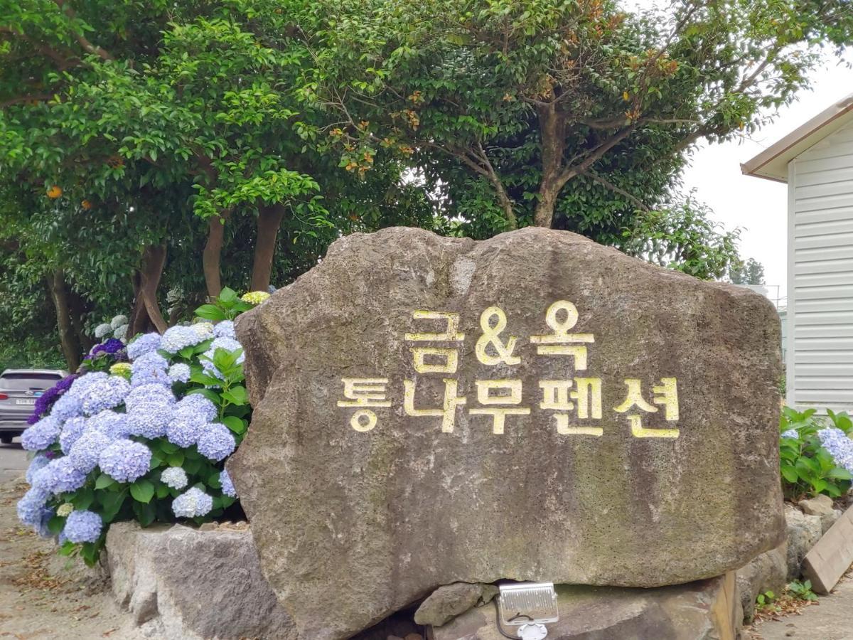 Geumok Log Pension Seogwipo Bagian luar foto